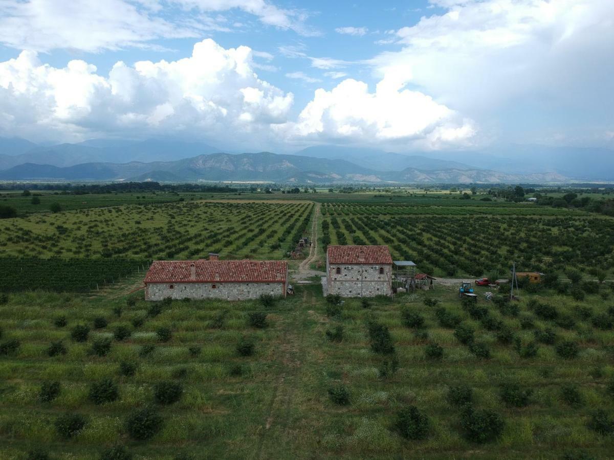 Mestvireni Telavi Exterior foto